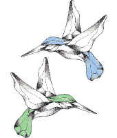 GST106C - HUMMINGBIRDS
