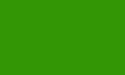 SPRING GREEN PAINT by COLOR MAGIC