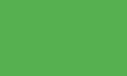 APPLE GREEN (MEDIUM GLOSS OPAQUE) #7885MB by REUSCHE PAINTS