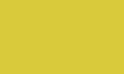 GREEN YELLOW (HIGH GLOSS OPAQUE) #D232782 by REUSCHE PAINTS