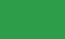 GREEN (HIGH GLOSS OPAQUE) #D252174 by REUSCHE PAINTS