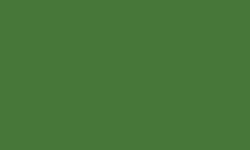 CHROME GREEN (HIGH GLOSS OPAQUE) #D261935 by REUSCHE PAINTS