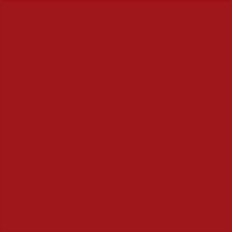 BRIGHT RED OPAQUE ENAMEL #9840 by THOMPSON ENAMELS