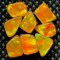 TANGIE TUMBLED OPALS by DOPALS OPALS - 1gm